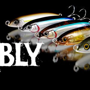 FBL WOBLY 40